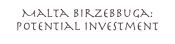 Malta Birzebbuga: Potential Investment